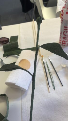 Taller floral y emocional: florecer por dentro y por fuera